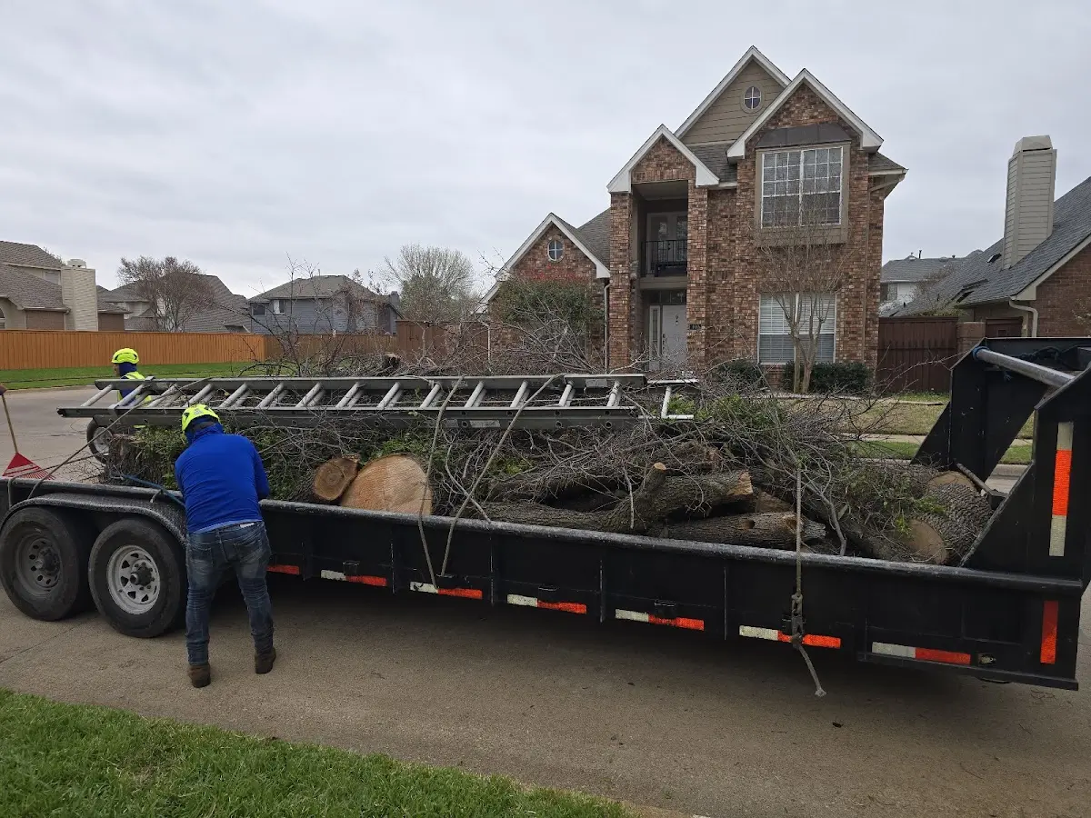 Expert Lot Clearing with proper safety equipment in Rolling Meadows